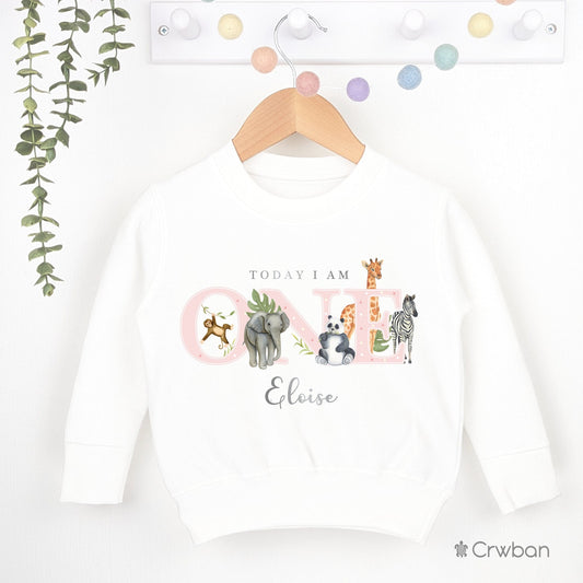 Safari Birthday White Sweatshirt 1st 2nd Party Outfit Pink Girl Jumper Birthday Gift Jungle theme Baby Toddler One Two Clothing