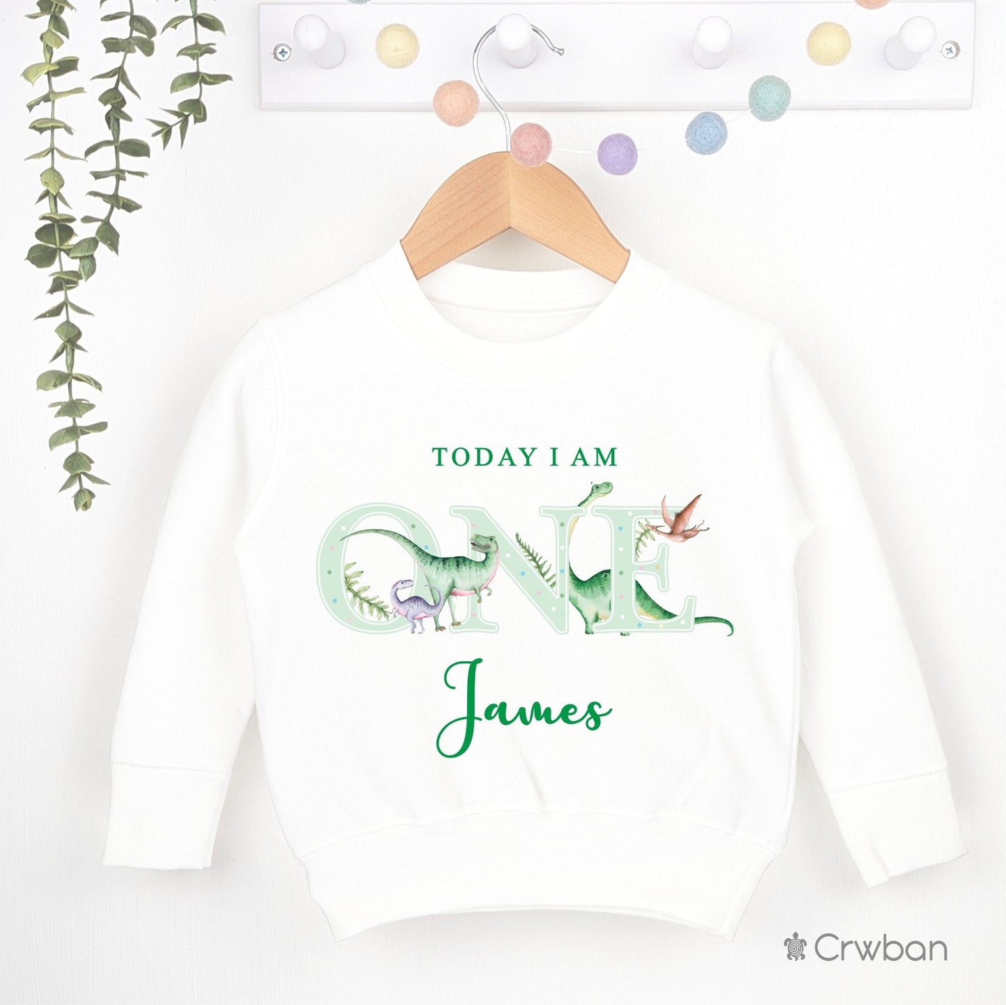 Dinosaur Birthday White Sweatshirt T-Shirt 1st 2nd Party Outfit Jumper Green Birthday Gift T-Rex theme Baby Toddler One Two Clothing
