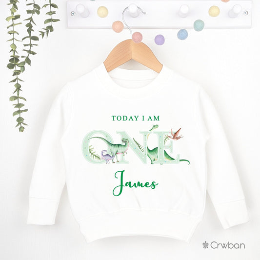 Dinosaur Birthday White Sweatshirt T-Shirt 1st 2nd Party Outfit Jumper Green Birthday Gift T-Rex theme Baby Toddler One Two Clothing