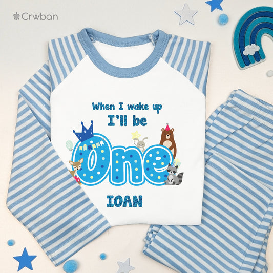 Woodland Themed Aqua Glitter Personalised Kids Outfit, Birthday Morning Set, Custom Name Cotton Clothing Set, Tight-fitting style