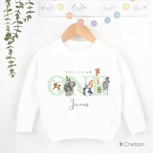 Safari Birthday White Sweatshirt 1st 2nd Party Outfit Boy Girl Jumper Green Birthday Gift Jungle theme Baby Toddler One Two Clothing