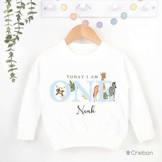 Safari Birthday White Sweatshirt 1st 2nd Party Outfit Blue Boy Jumper Birthday Gift Jungle theme Baby Toddler One Two Clothing