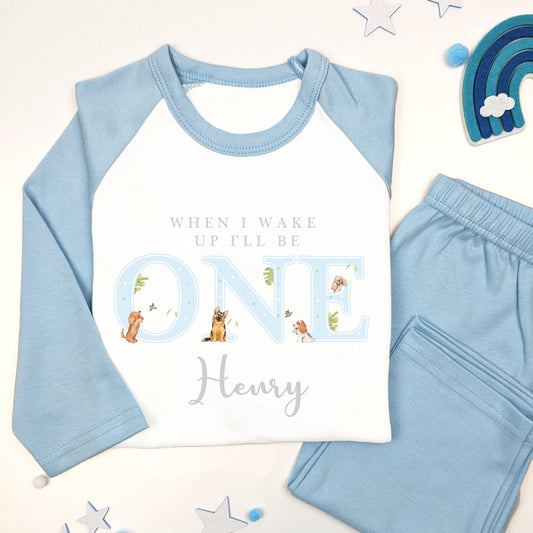 Blue Dog Birthday When I Wake Any Age Personalised Kids Outfit, Birthday Morning Set, Custom Name Cotton Clothing Set, Tight-fitting style