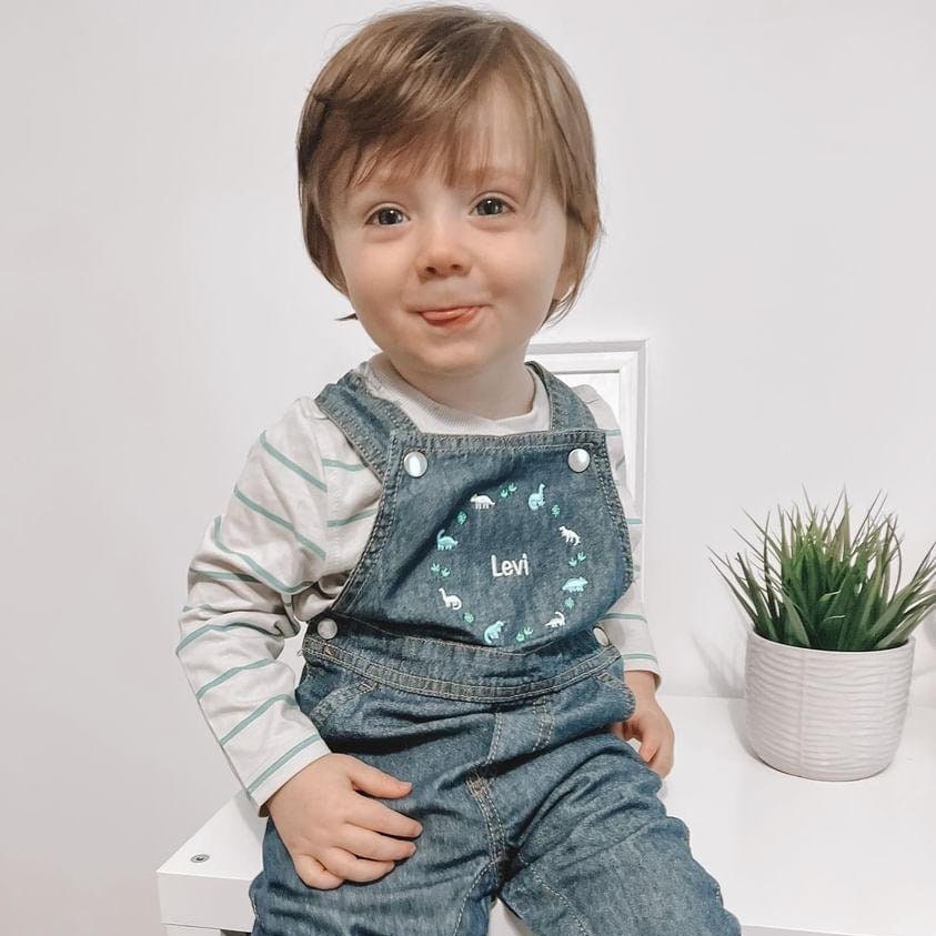 Personalised Dinosaur Embroidered Children's Denim Dungarees, Kids Overalls Children's Clothing Custom Name, Birthday Gift