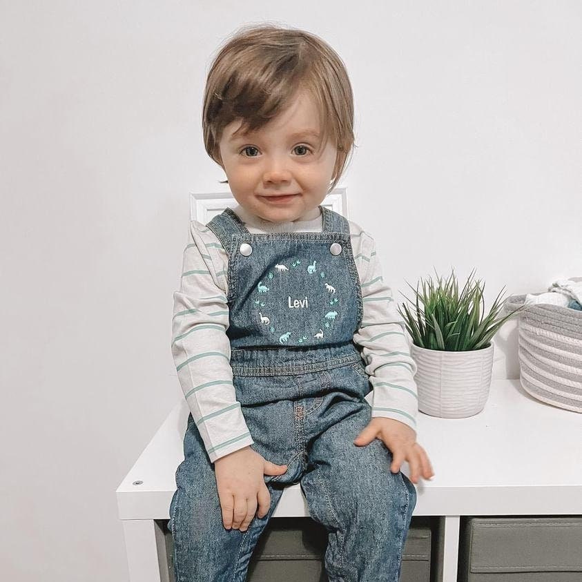 Personalised Dinosaur Embroidered Children's Denim Dungarees, Kids Overalls Children's Clothing Custom Name, Birthday Gift