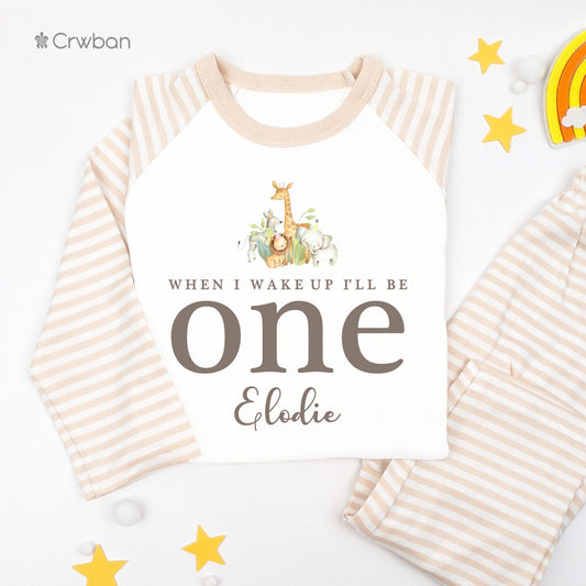 Safari Friends 1st Birthday Personalised Kids Outfit, Birthday Morning Set, Custom Name Cotton Clothing Set, Tight-fitting style
