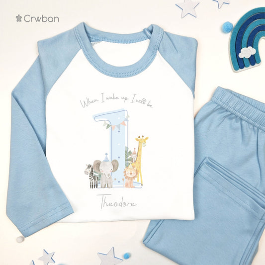 Safari Blue Shadow Any Age Personalised Birthday Kids Outfit, Birthday Morning Set, Custom Name Cotton Clothing Set, Tight-fitting style