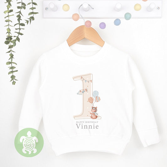 Personalised Airplane Teddy Shadow Birthday Any Age, 1st Birthday Party, Birthday T-shirt, Baby Vest, Childs Jumper, Birthday outfit
