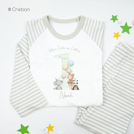 Green Teddy Party Birthday Pj's Personalised Watercolour Birthday, When I Wake Up Pyjamas, Grey Print, Boy Girl, Any Age, Neutral Outfit