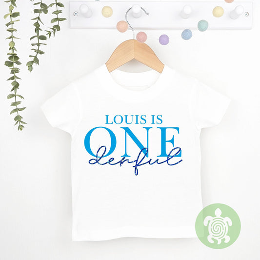 Personalised One-derful Boys birthday T-shirt, Sweatshirt, 1st Birthday Design with Glitter Print Party, Party Outfit, Children's T-shirt