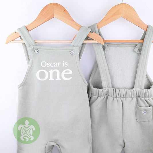 Embroidered Any Age Birthday Fleece Dungarees, Party Outfit design, Toddler 1st 2nd, Boy Girl Party Outfit, Kids Overalls, Birthday Outfit