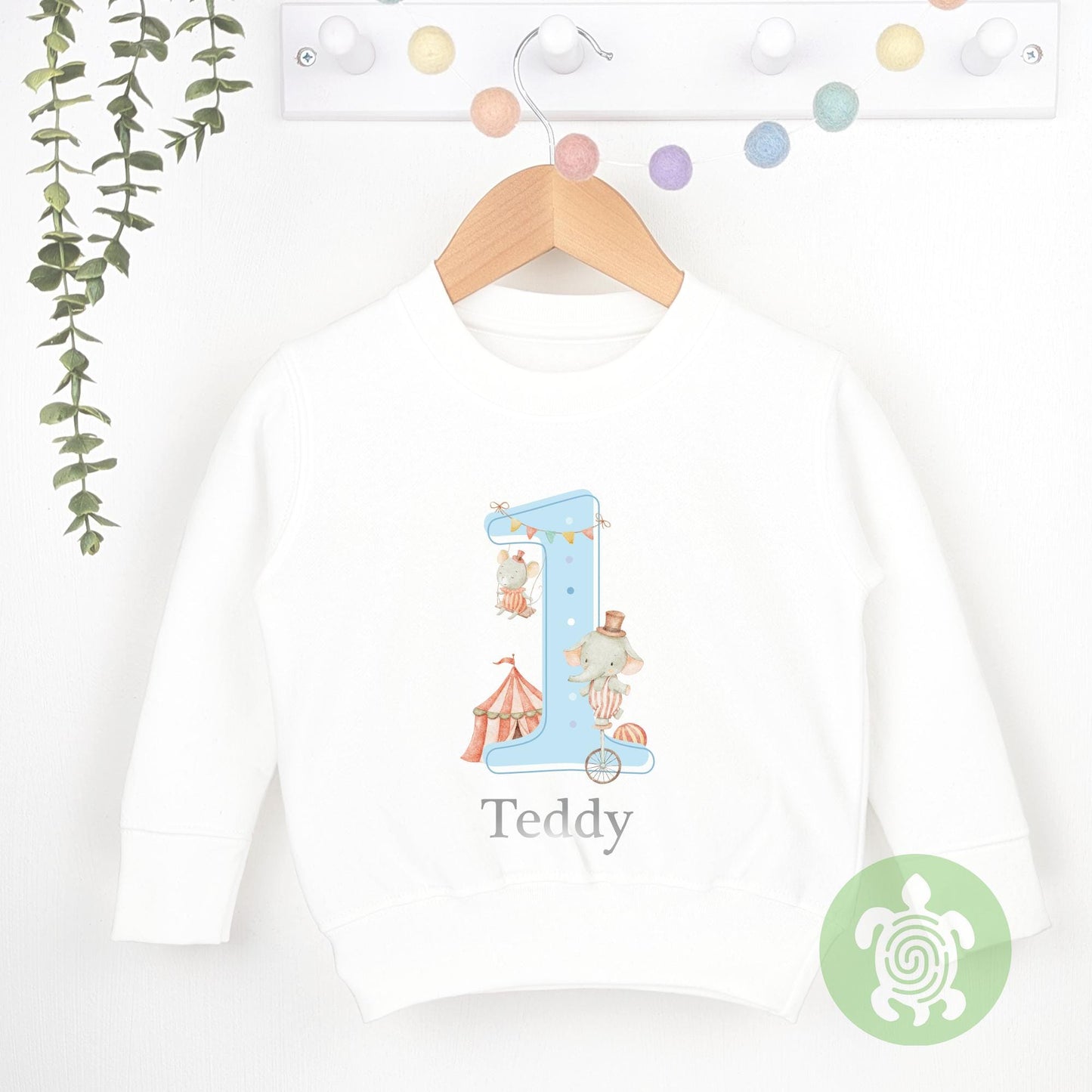 Blue Circus Friends Birthday Party Tshirt, Sweatshirt, Any Age, personalised First Birthday design Childs Jumper Sweatshirt Baby Boy Girl