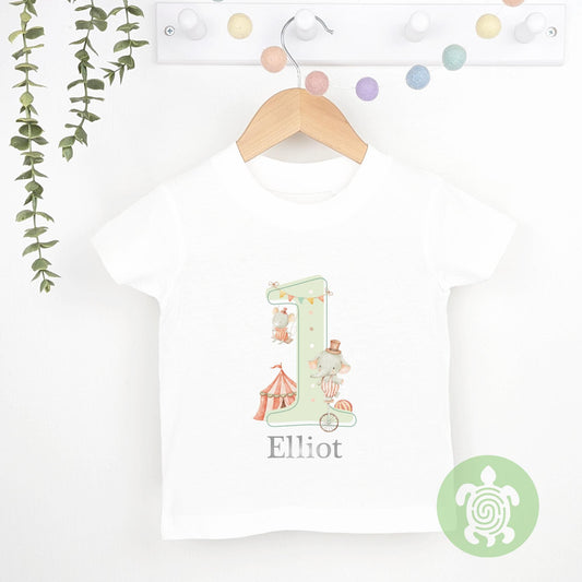 Green Circus Friends Birthday Party Tshirt, Sweatshirt, Any Age, personalised First Birthday design Childs Jumper Sweatshirt Baby Boy Girl