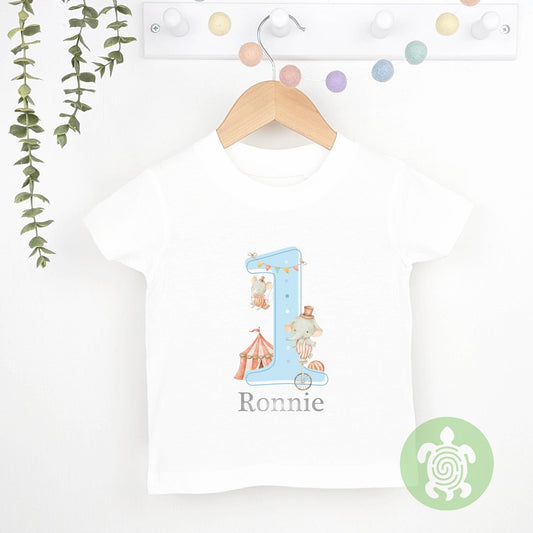 Blue Circus Friends Birthday Party Tshirt, Sweatshirt, Any Age, personalised First Birthday design Childs Jumper Sweatshirt Baby Boy Girl