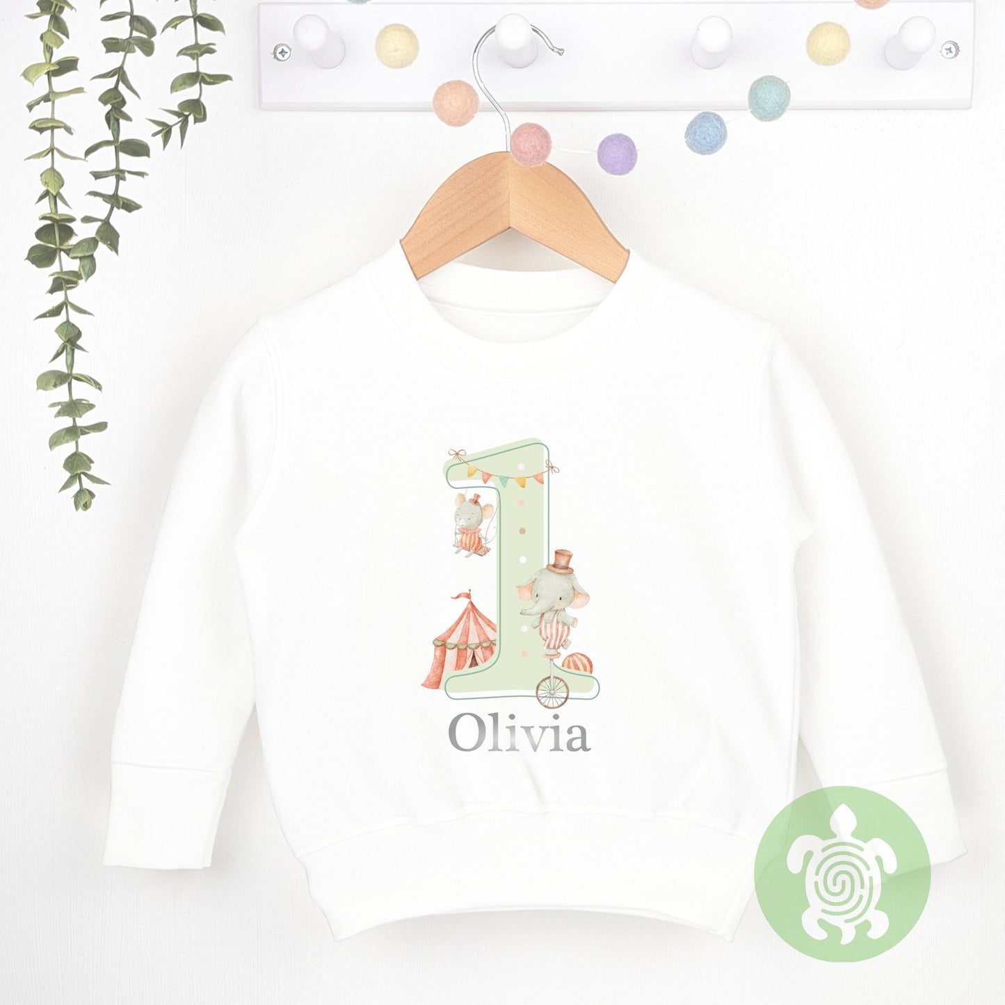 Green Circus Friends Birthday Party Tshirt, Sweatshirt, Any Age, personalised First Birthday design Childs Jumper Sweatshirt Baby Boy Girl