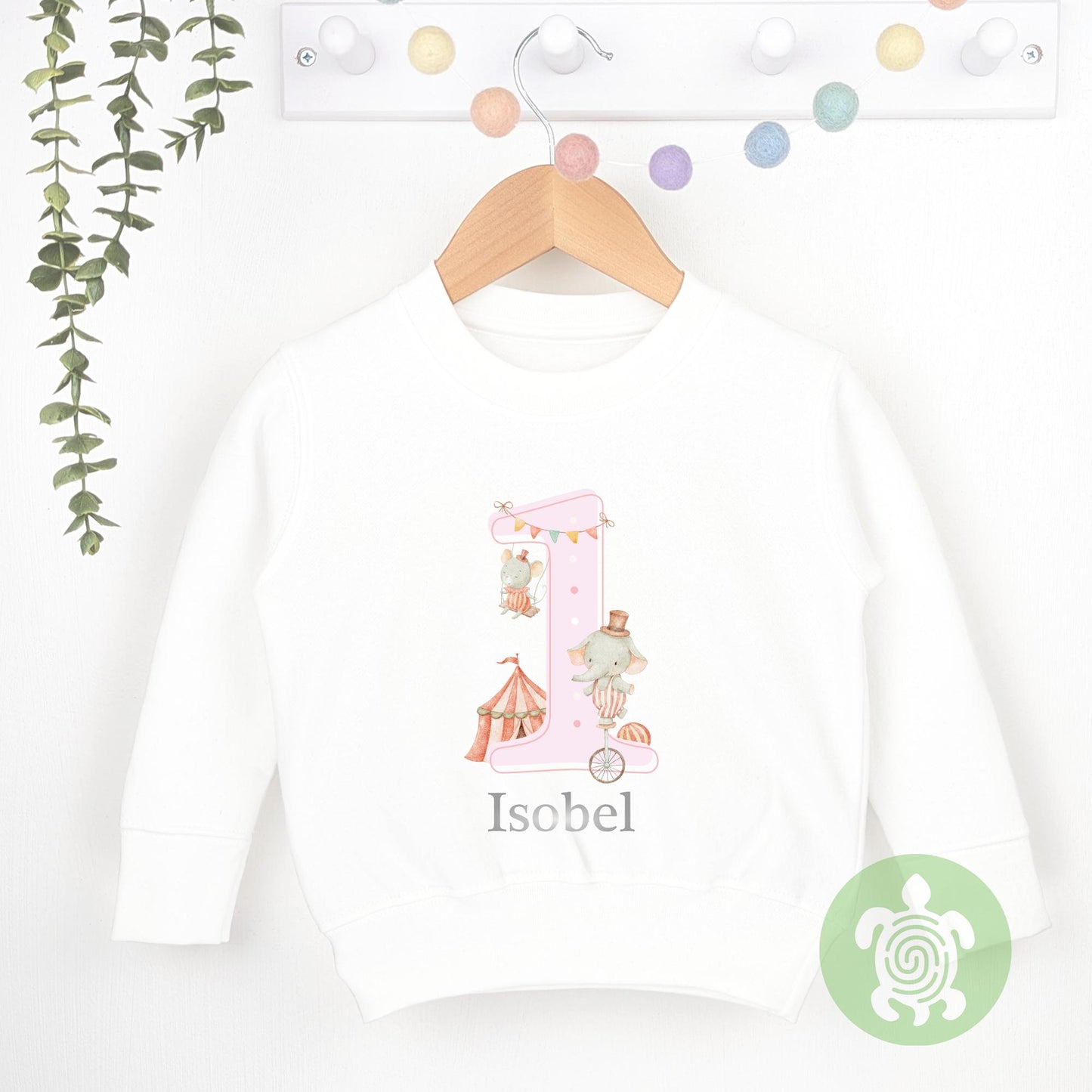 Pink Circus Friends Birthday Party Tshirt, Sweatshirt, Any Age, personalised First Birthday design Childs Jumper Sweatshirt Baby Boy Girl