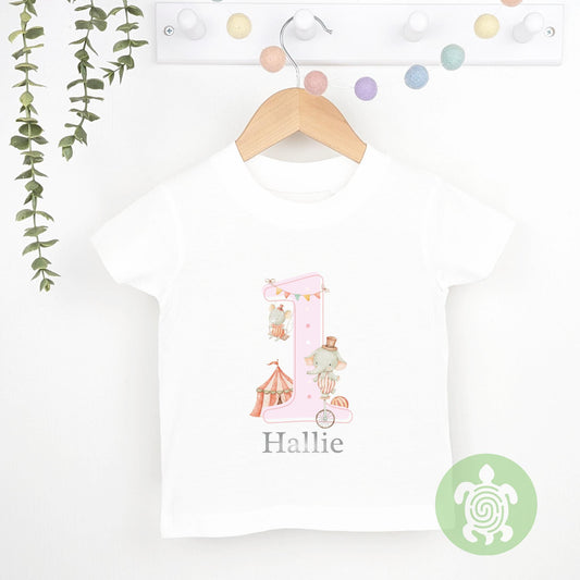 Pink Circus Friends Birthday Party Tshirt, Sweatshirt, Any Age, personalised First Birthday design Childs Jumper Sweatshirt Baby Boy Girl