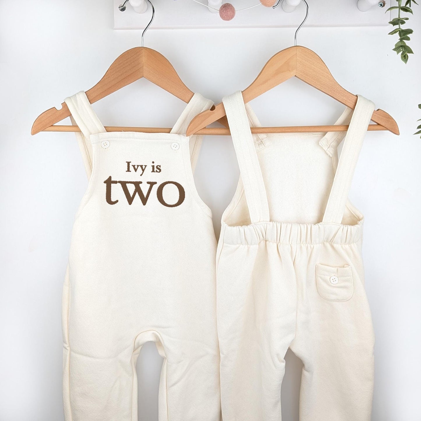 Any Age Personalised Embroidered Birthday Oat Fleece Dungarees Set,1st Party Outfit with Colour Print,Childs Clothing,Birthday Outfit