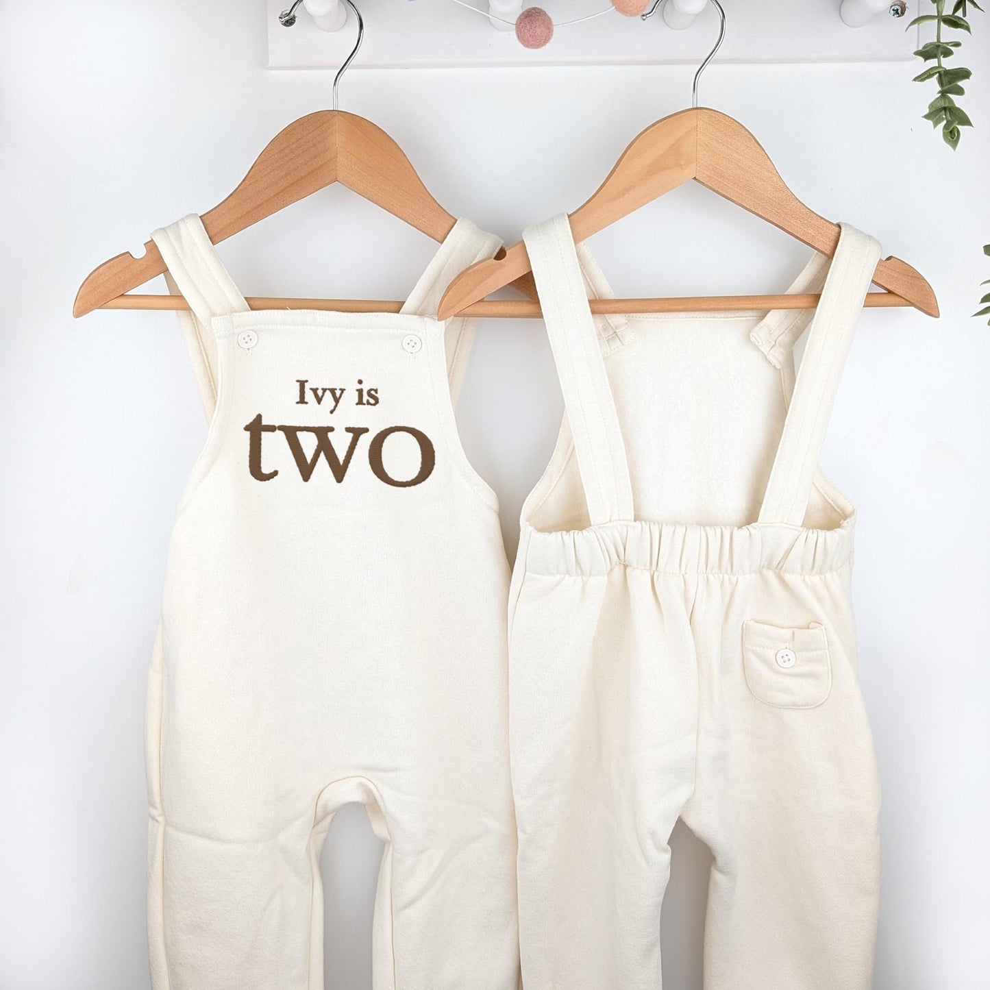 Any Age Personalised Embroidered Birthday Oat Fleece Dungarees Set,1st Party Outfit with Colour Print,Childs Clothing,Birthday Outfit
