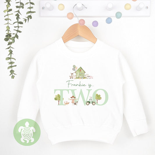 Green Farm Any Age, 1st Birthday Party Sweatshirt, Personalised First Birthday design Childs Jumper Sweatshirt Baby Boy Girl