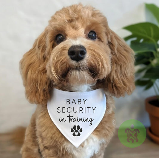 Baby Announcement Pet Bandana, Big Brother, Big Sister, Baby Security, New Baby, Pregnancy Reveal, Baby Dog Scarf, Promoted to Big Brother