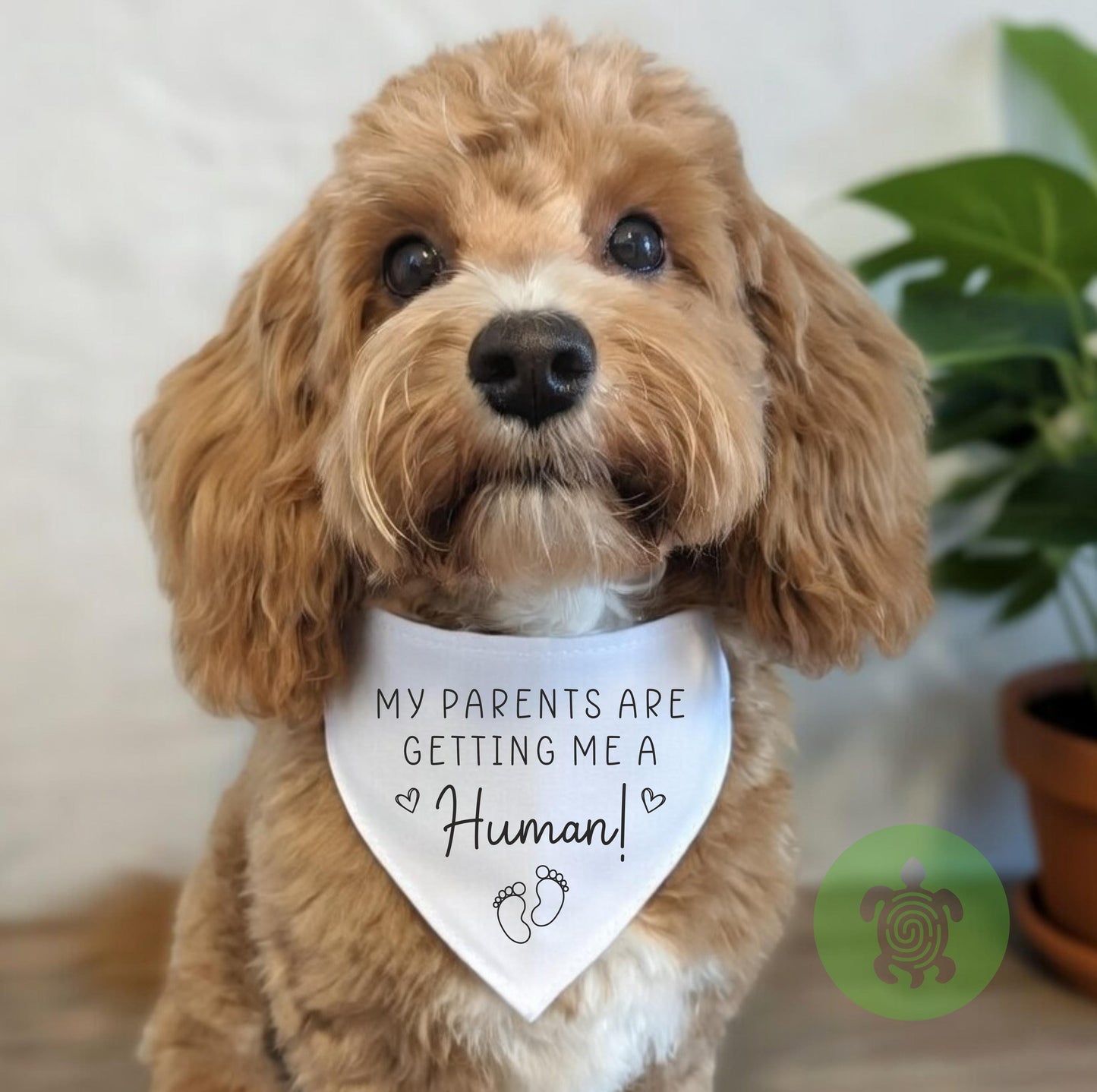 Baby Announcement Pet Bandana, Big Brother, Big Sister, Baby Security, New Baby, Pregnancy Reveal, Baby Dog Scarf, Promoted to Big Brother