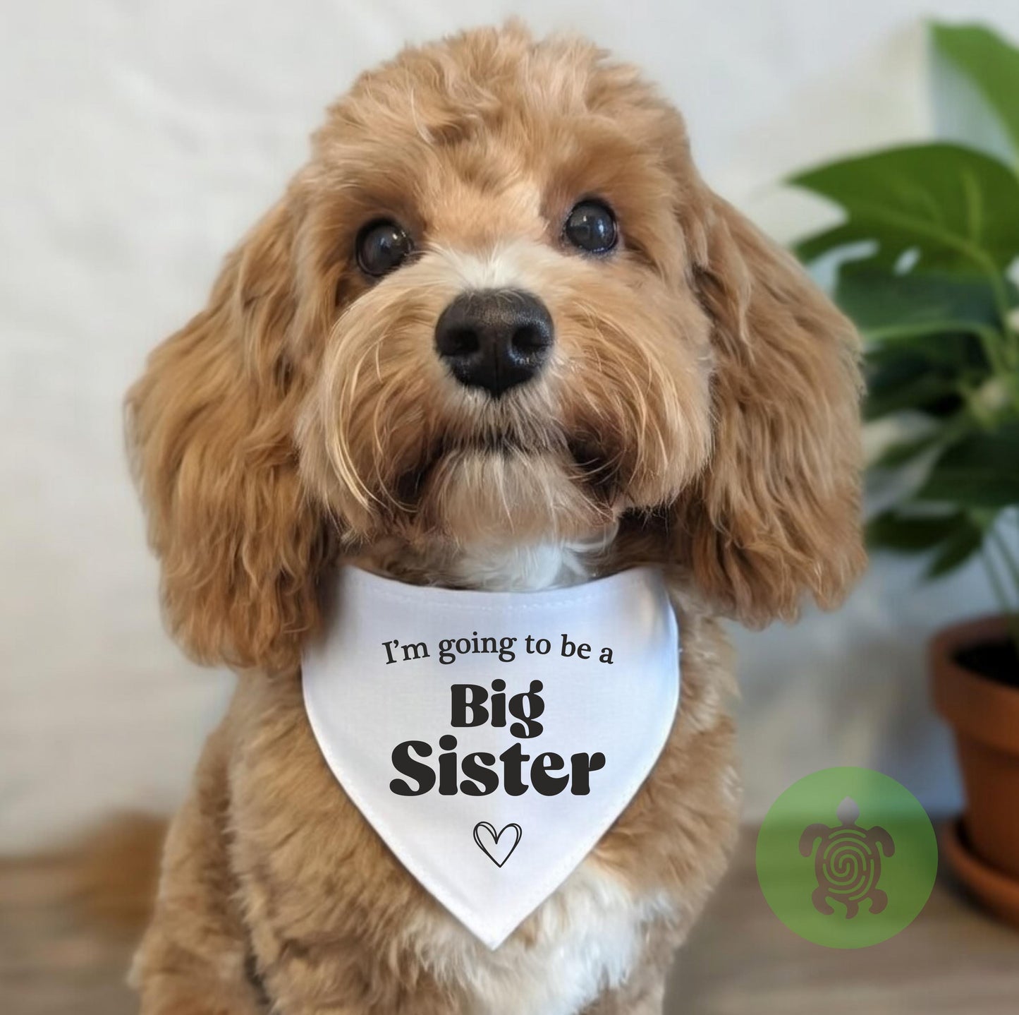 Baby Announcement Pet Bandana, Big Brother, Big Sister, Baby Security, New Baby, Pregnancy Reveal, Baby Dog Scarf, Promoted to Big Brother