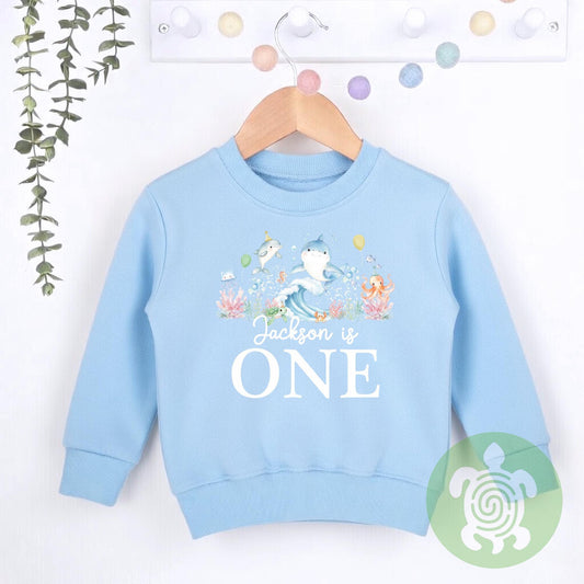 Birthday Sea Life theme Sweatshirt, Birthday party outfit, any age, Colour Birthday Outfit