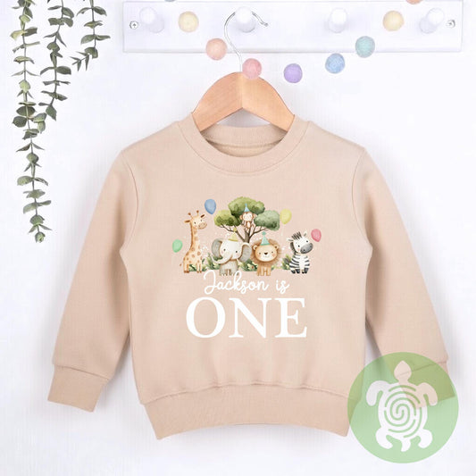 Birthday Safari theme Sweatshirt, Birthday party outfit, any age, Colour Birthday Outfit