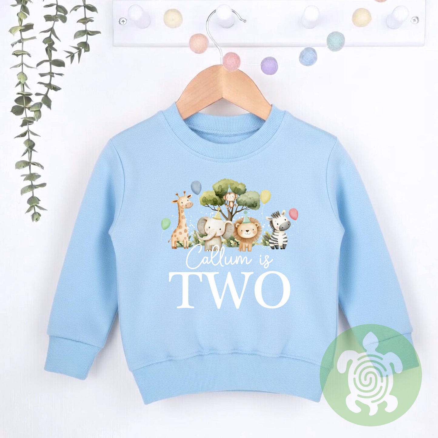 Birthday Safari theme Sweatshirt, Birthday party outfit, any age, Colour Birthday Outfit