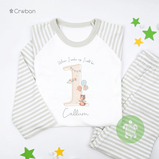 Personalised Airplane Teddy Shadow Birthday Pyjamas, Birthday Pjs, When I wake up Pjs, First Birthday, 1st 2nd Birthday, Boy Girls Pyjamas