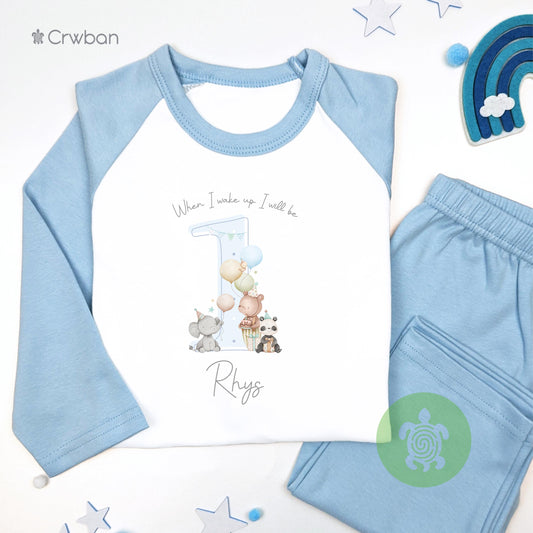 Blue Teddy Party Any Age Birthday Personalised Kids Outfit, Birthday Morning Set, Custom Name Cotton Clothing Set, Tight-fitting style