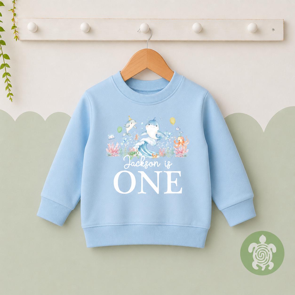Birthday Sea Life theme Sweatshirt, Birthday party outfit, any age, Colour Birthday Outfit