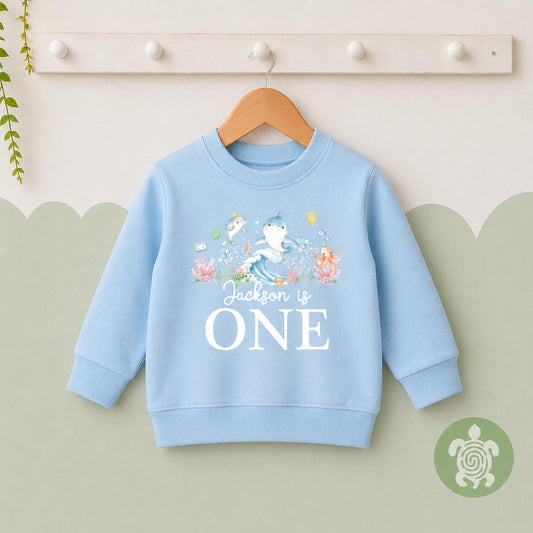 Birthday Sea Life theme Sweatshirt, Birthday party outfit, any age, Colour Birthday Outfit